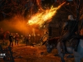 the-witcher-3-wild-hunt-dikaya-2243.jpg